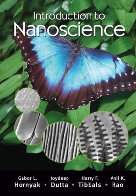 Introduction to Nanoscience book