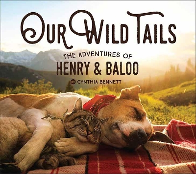 Our Wild Tails: The Adventures of Henry and Baloo book