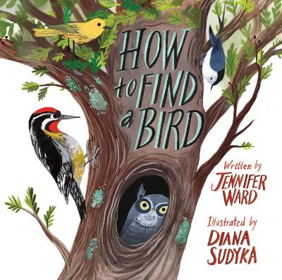 How to Find a Bird book