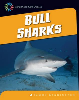 Bull Sharks by Tammy Kennington