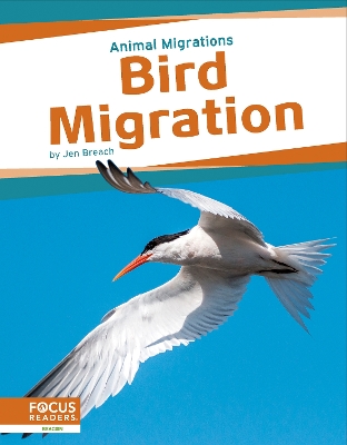 Animal Migrations: Bird Migration by Jen Breach