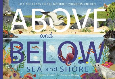 Above and Below: Sea and Shore: Lift the flaps to see nature's wonders unfold by Harriet Evans