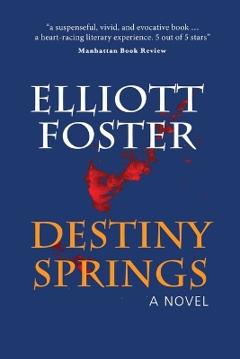 Destiny Springs book