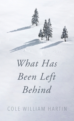 What Has Been Left Behind book
