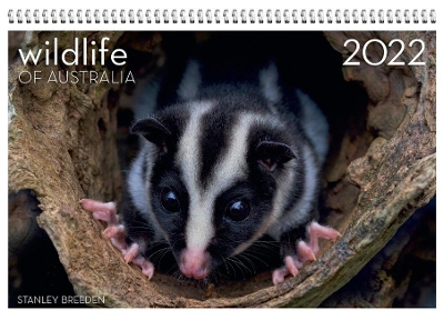 2022 Wildlife of Australia Wall Calendar book