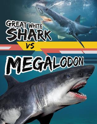 Great White Shark vs Megalodon by Charles C Hofer