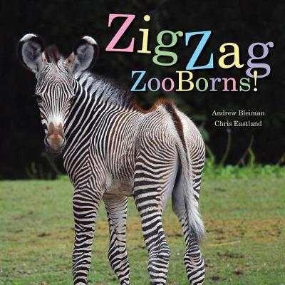 Zigzag Zooborns! book