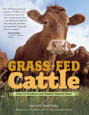 Grass Fed Cattle by Julius Ruechel