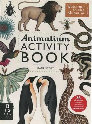 Animalium Activity Book book