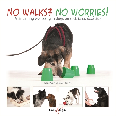 No Walks? No Worries!: Maintaining Wellbeing in Dogs on Restricted Exercise book