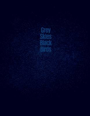 Grey Skies Black Birds book