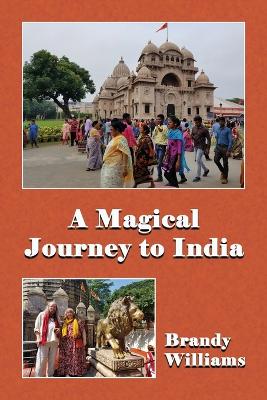 A Magical Journey to India book