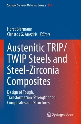 Austenitic TRIP/TWIP Steels and Steel-Zirconia Composites: Design of Tough, Transformation-Strengthened Composites and Structures by Horst Biermann