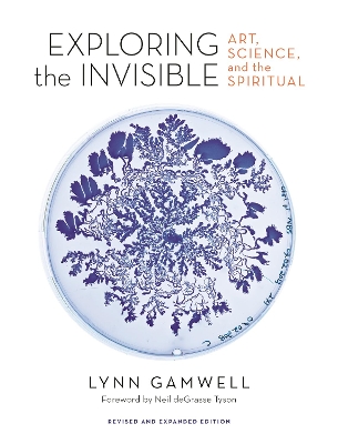 Exploring the Invisible: Art, Science, and the Spiritual - Revised and Expanded Edition book