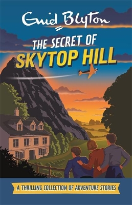 Secret of Skytop Hill book