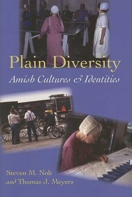 Plain Diversity book