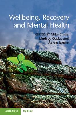 Wellbeing, Recovery and Mental Health book