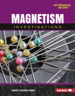 Magnetism Investigations book