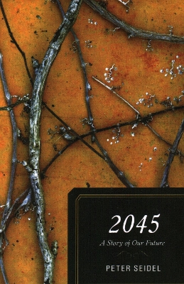 2045 book