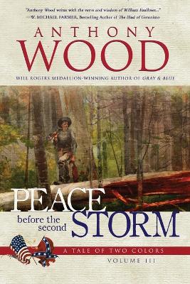 Peace Before the Second Storm: A Story of the Civil War book