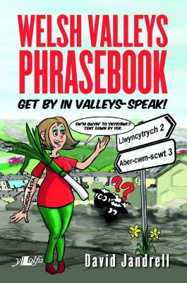 Welsh Valleys Phrasebook - Get by in Valleys-Speak! book