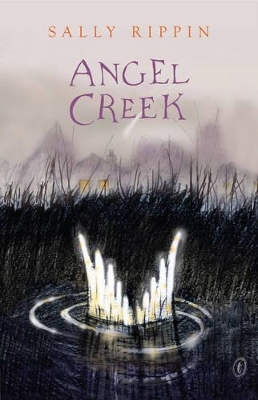Angel Creek book
