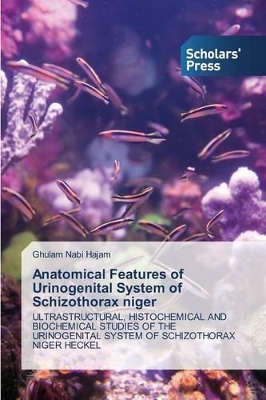 Anatomical Features of Urinogenital System of Schizothorax Niger book