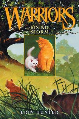 Warriors: #4 Rising Storm by Erin Hunter