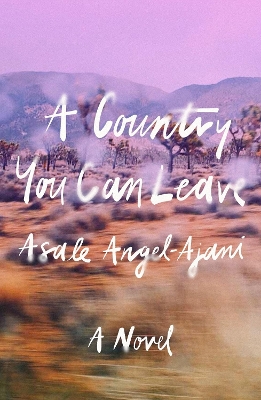 A Country You Can Leave: A Novel book