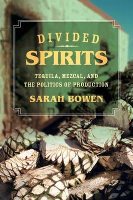 Divided Spirits book