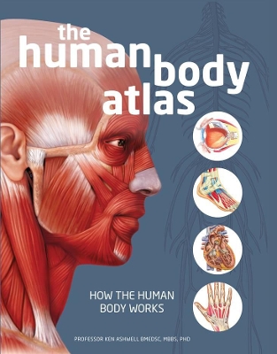 The Human Body Atlas: How the Human Body Works book