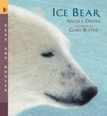 Ice Bear by Davies Nicola