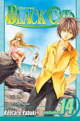 Black Cat, Vol. 14 book