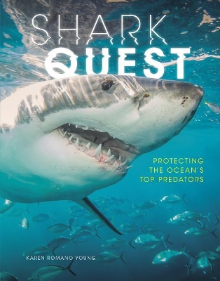 Shark Quest book