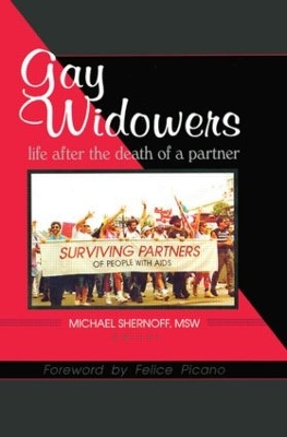 Gay Widowers book