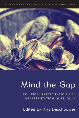 Mind the Gap: Political Participation and Representation in Belgium book