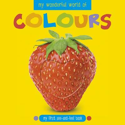My Wonderful World of Colours book