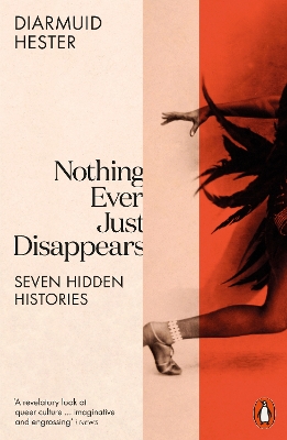 Nothing Ever Just Disappears: Seven Hidden Histories book