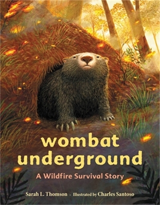 Wombat Underground: A Wildfire Survival Story book