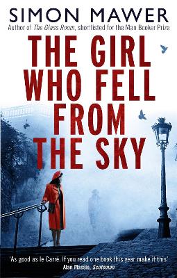 Girl Who Fell From The Sky book