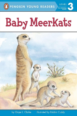 Baby Meerkats book