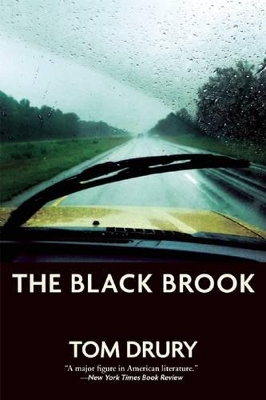 Black Brook book