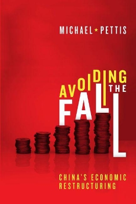 Avoiding the Fall by Michael Pettis