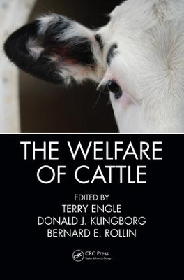 The Welfare of Cattle by Terry Engle
