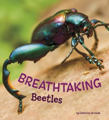 Breathtaking Beetles book