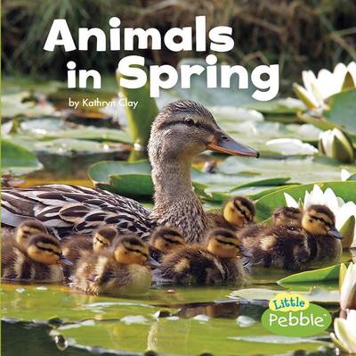 Animals in Spring book