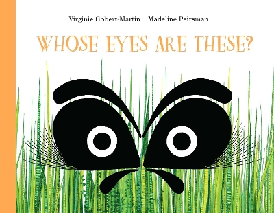 Whose Eyes are These? book