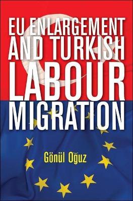 EU enlargement and Turkish labour migration book