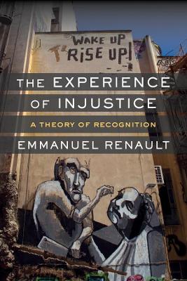 The Experience of Injustice: A Theory of Recognition book