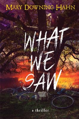 What We Saw: A Thriller book